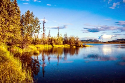 Fall Trees Along Lake